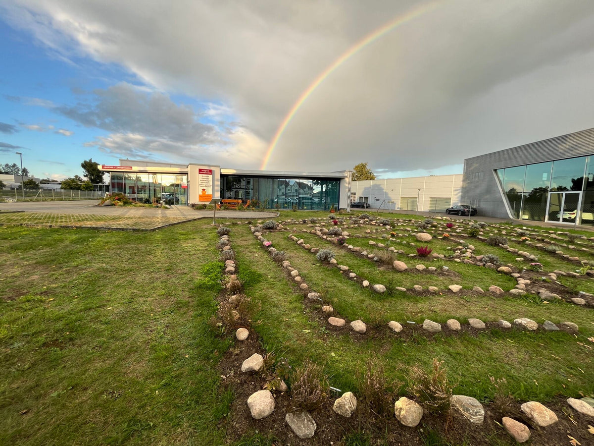 Akademie mit Regenbogen