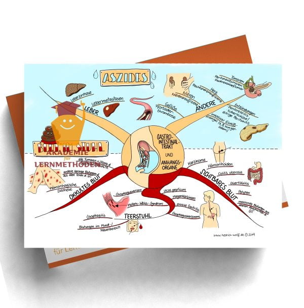 Mindmap zum Thema Aszides