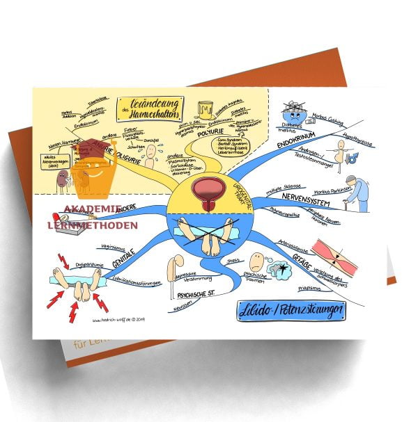 Mindmap zum Thema Veränderungen des Harnverhaltens und Libido -Potenzstörungen