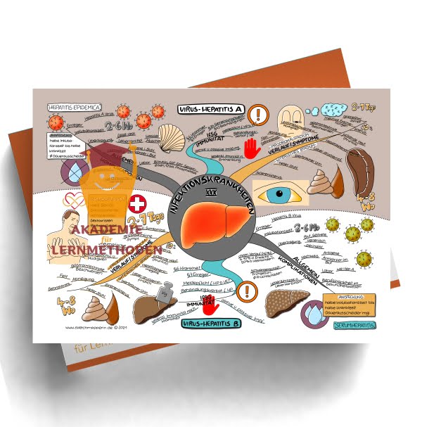 Mindmap zum Thema: Infektionkrankheiten Virus Hep.A und Virus Hep. B