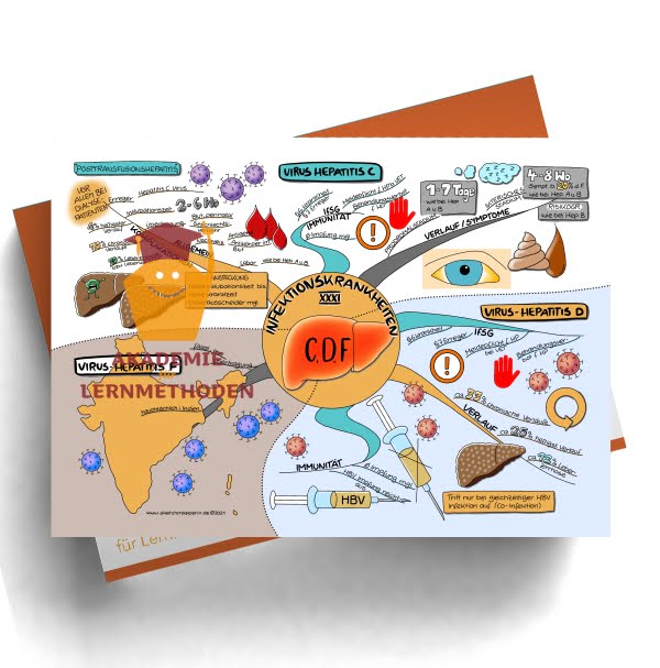 Mindmap zum Thema: Infektionkrankheiten Virus Hep. C,D,F