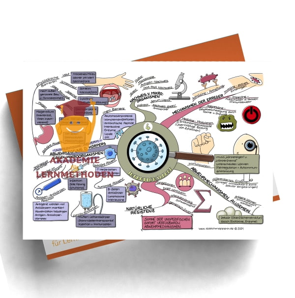 Mindmap zum Thema: Infektionlehre Begriffe 4