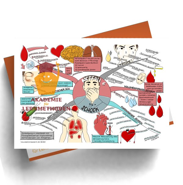 Mindmap zum Thema Notfall 6