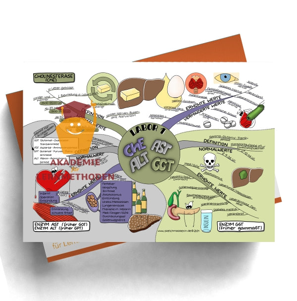 Mindmaps zum Thema Prüfungswissen med. Heilpraktiker - Teil 2 (71-176)