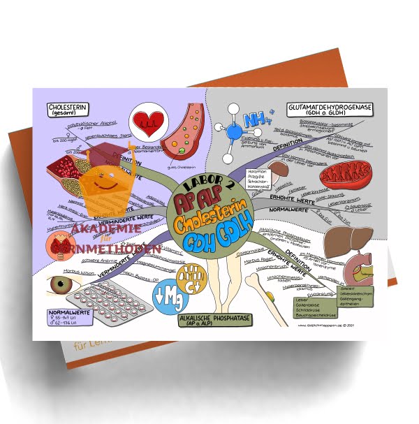 Mindmap zum Thema Labor 2