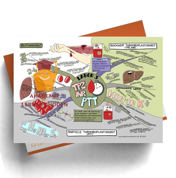 Mindmap zum Thema Labor 3