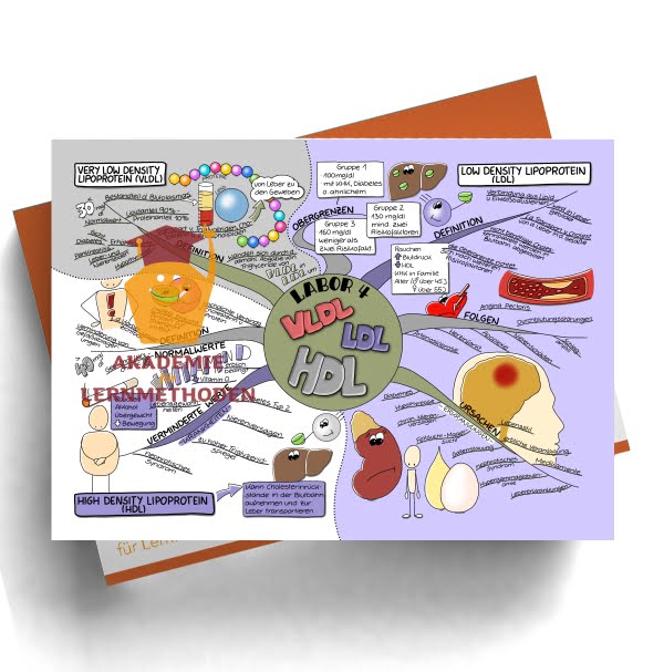 Mindmap zum Thema Labor 4