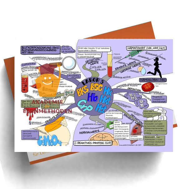Mindmap zum Thema Labor 5