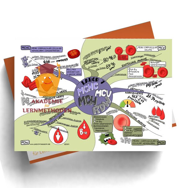 Mindmap zum Thema Labor 7