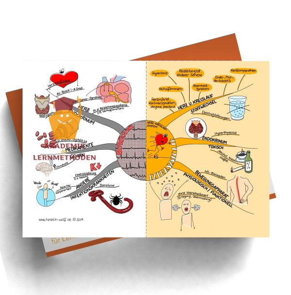 Mindmap zum Thema Bradykardie - Extrasystolie