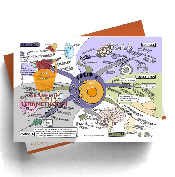 Mindmap zum Thema Labor 8