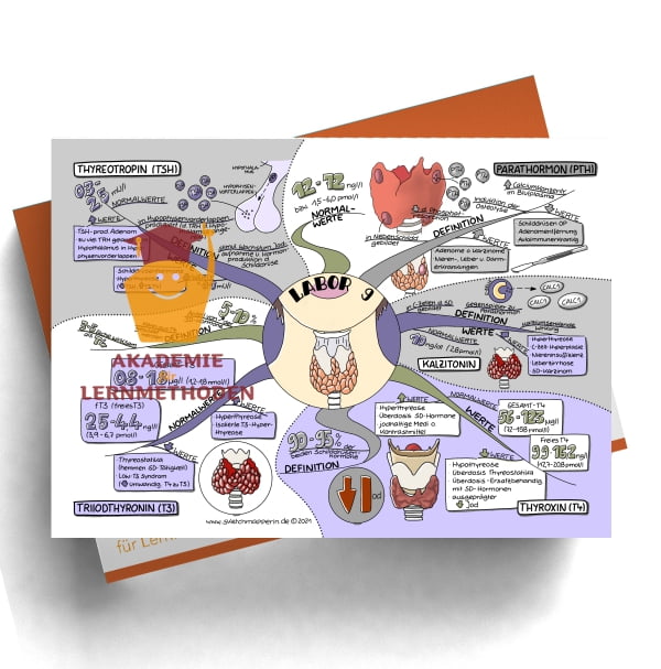 Mindmap zum Thema Labor 9