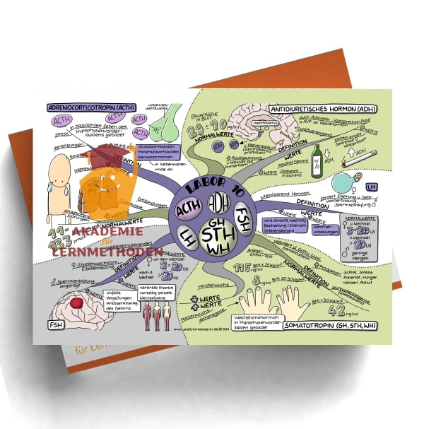 Mindmap zum Thema Labor 10