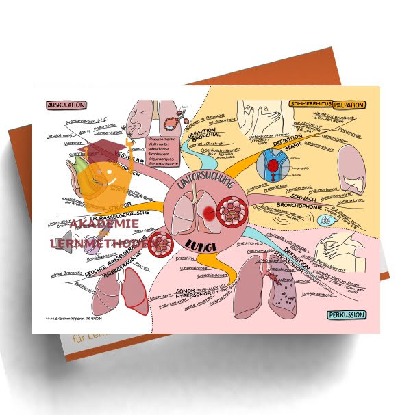 Mindmap zum Thema HP med. Untersuchung Lunge