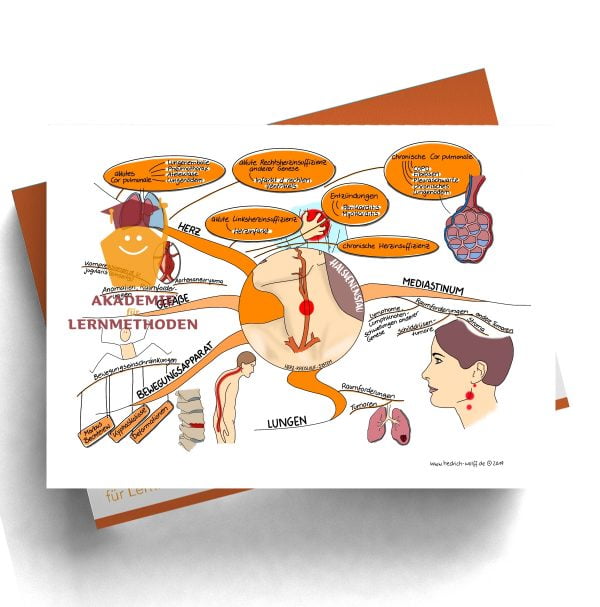 Mindmap zum Thema Halsvenenstau