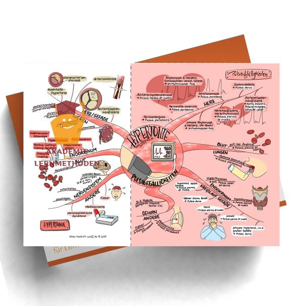 Mindmap zum Thema Hypertonie - Pulsauffälligkeiten
