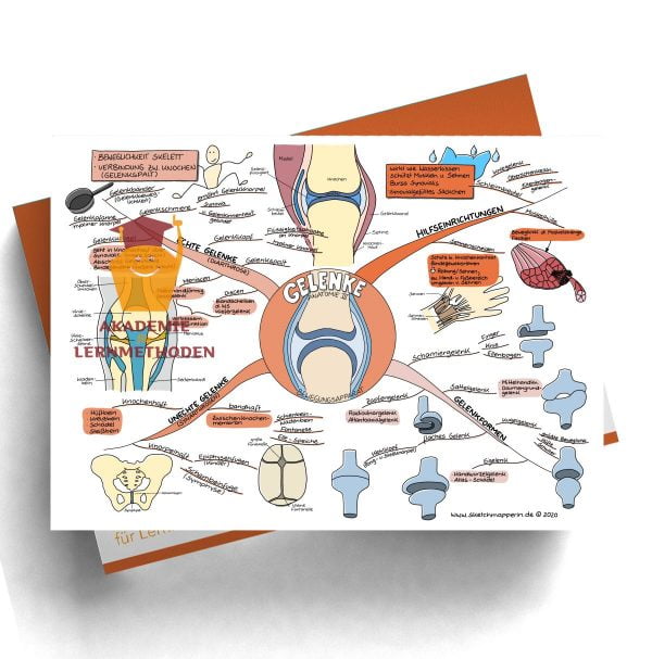 Mindmap zum Thema Gefäße Anatomie für den med. Heilpraktiker