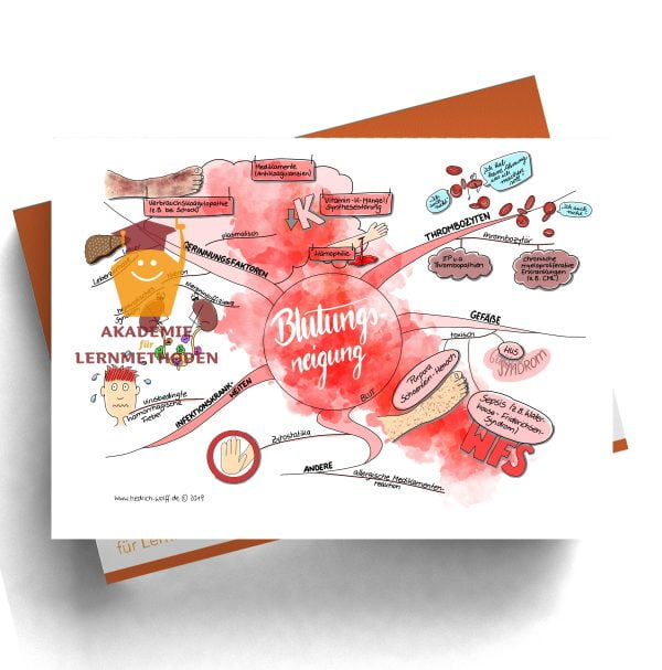 Mindmap zum Thema Blutungsneigung