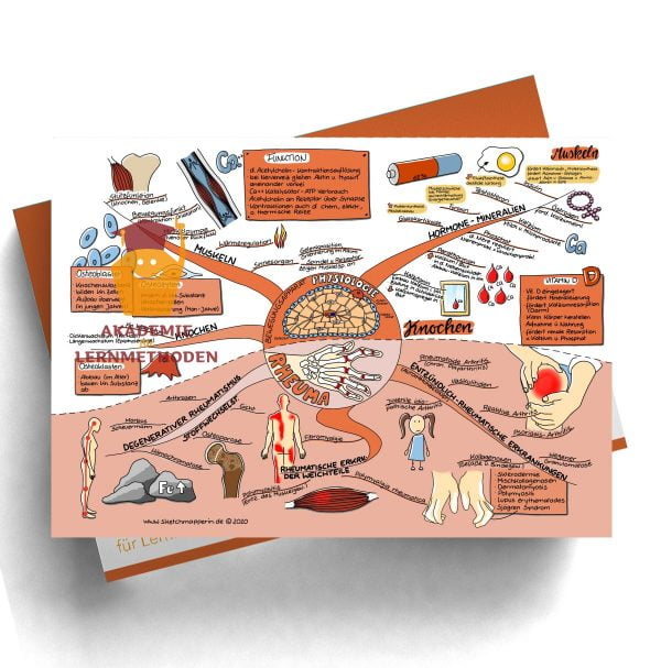 Mindmap zum Thema Gefäße Physiologie, Rheuma für den med. Heilpraktiker