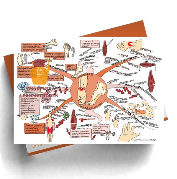 Mindmap zum Thema Gefäße Pathologie für den med. Heilpraktiker