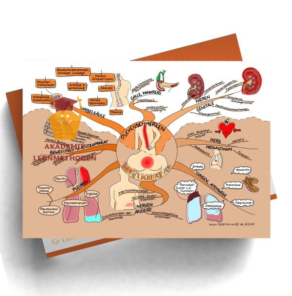 Mindmap zum Thema Rückenschmerzen - Thoraxschmerzen