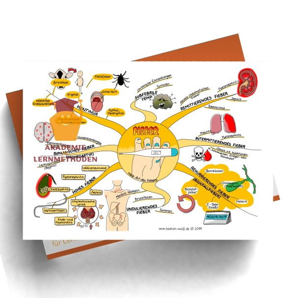 Mindmap zum Thema Fieber nach Art des Fiebers