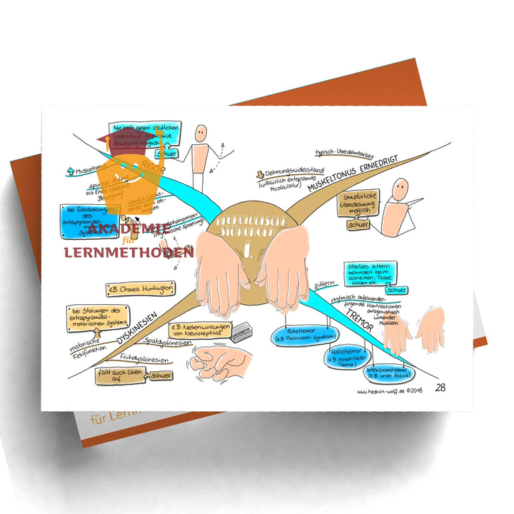 Paket zum Somatischen Befund AMDP-System