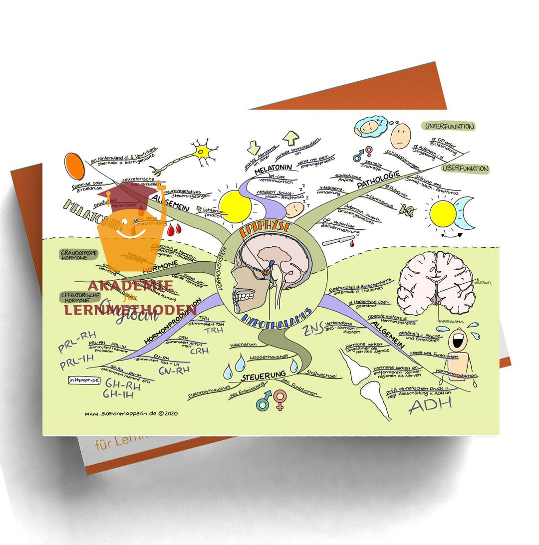 Mindmaps Prüfungswissen med. HP - Hormone (29-32+109)