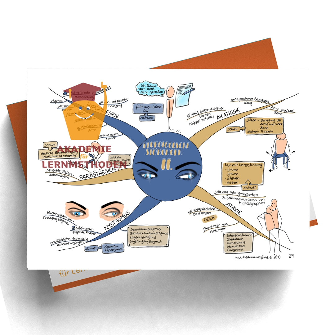 Paket zum Somatischen Befund AMDP-System