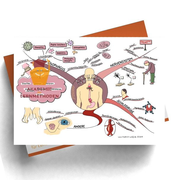 Mindmap zum Thema Dysphagie