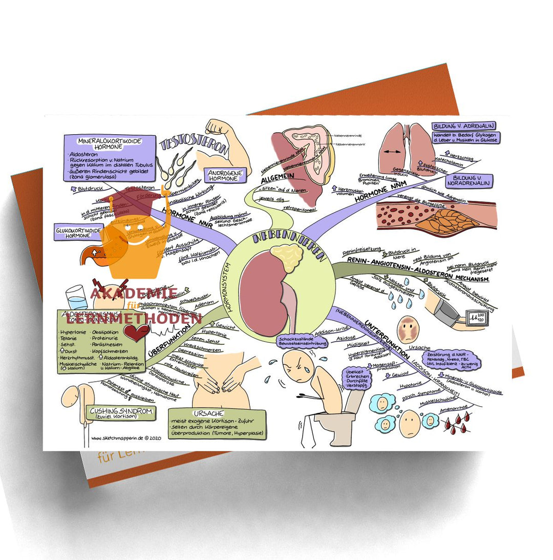 Mindmaps Prüfungswissen med. HP - Hormone (29-32+109)