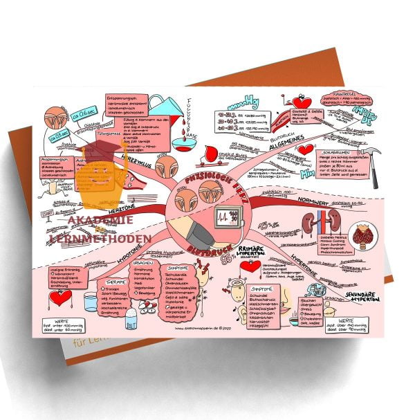 Mindmap für den med. HP zum Thema Herz Physiologie, Blutdruck