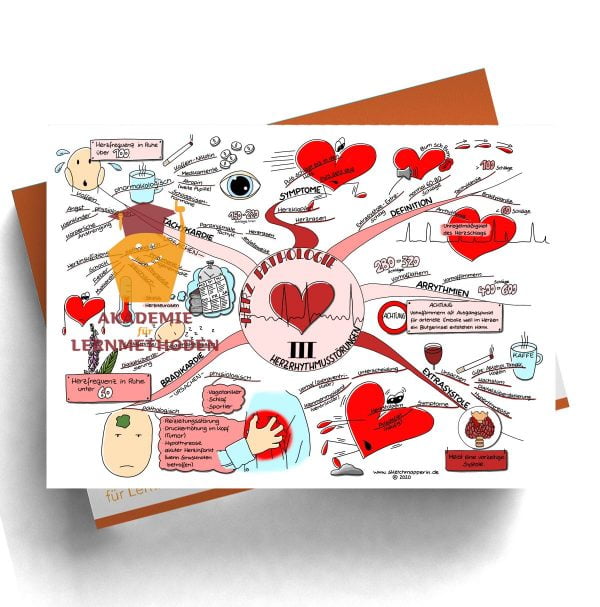 Mindmaps zum Thema Herz Prüfungswissen med. Heilpraktiker