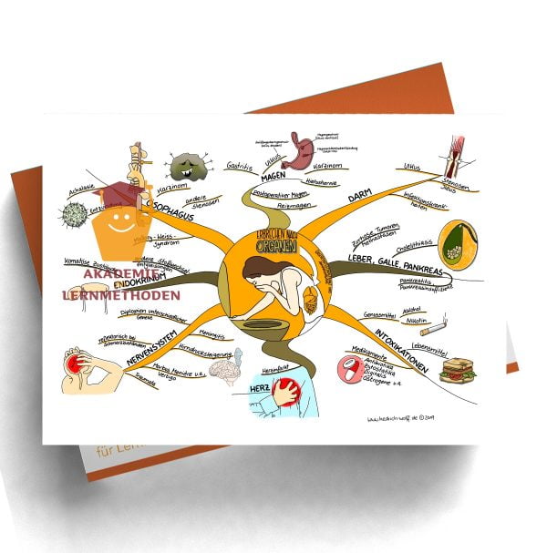 Mindmap zum Thema Erbrechen nach Organen