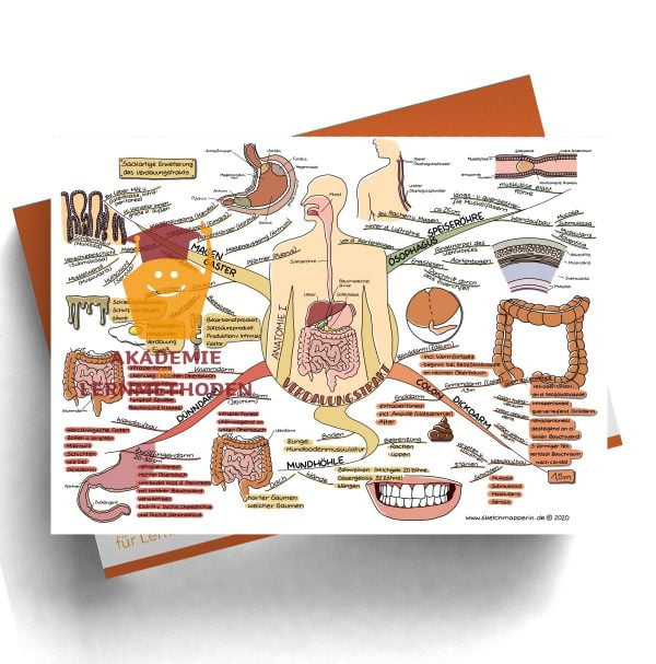 Mindmap 43 Heilpraktiker med. Verdauungstrakt - Anatomie 1