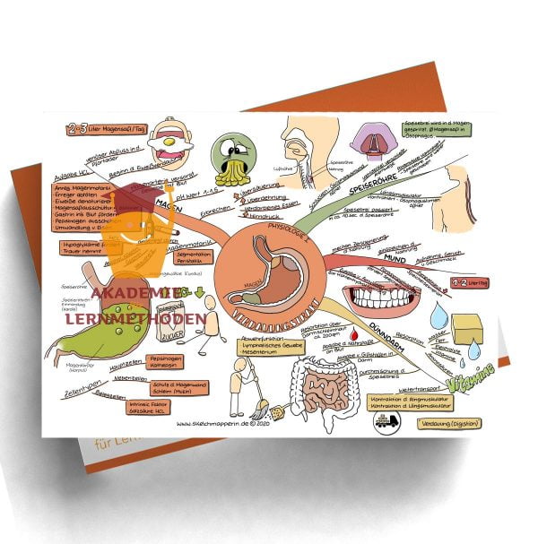 Mindmap 45 Heilpraktiker med. Verdauungstrakt - Physiologie 1