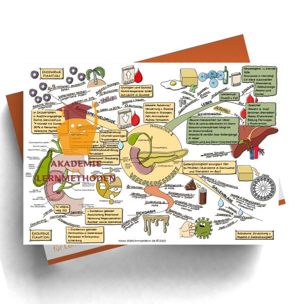 Mindmap 46 Heilpraktiker med. Verdauungstrakt - Physiologie 2