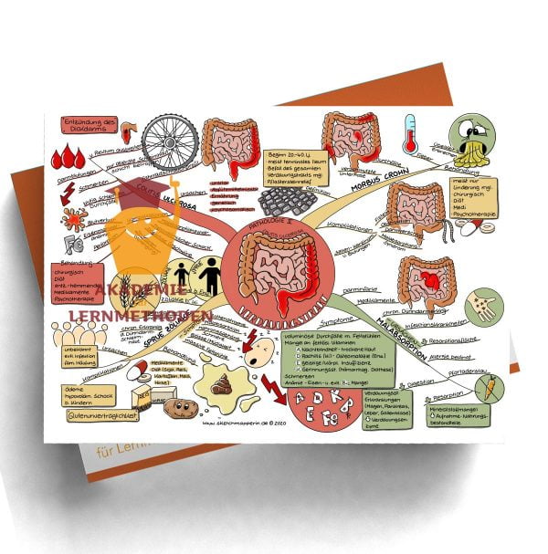 Mindmap 48 Heilpraktiker med. Verdauungstrakt - Pathologie 2