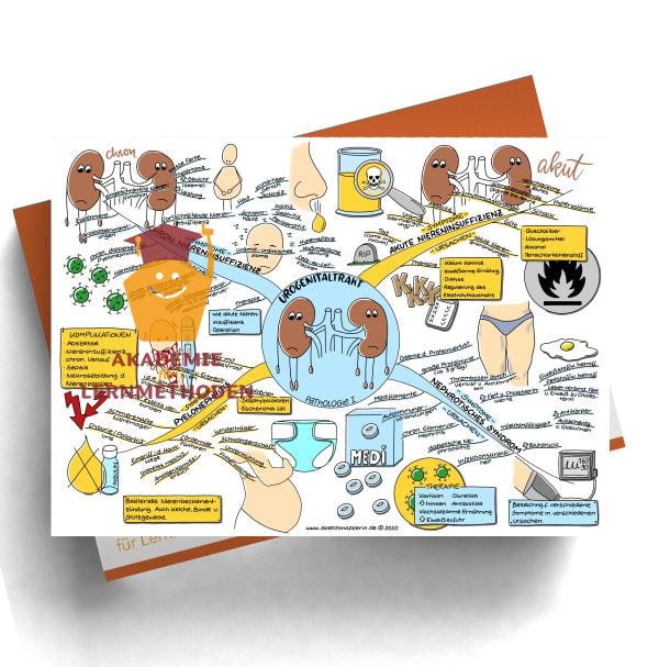Mindmap HP med. Urogenitaltrakt - Pathologie 1