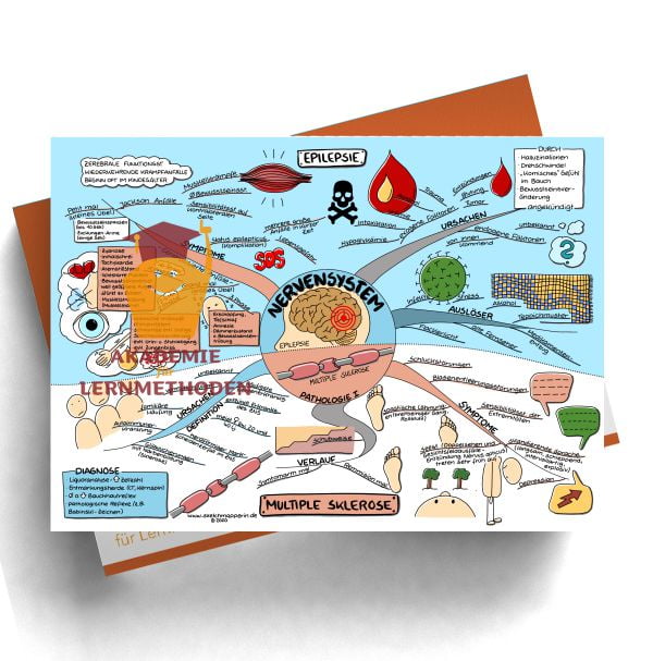 Mindmap zum Thema Nervensystem für den med. Heilpraktiker - Prüfungswissen