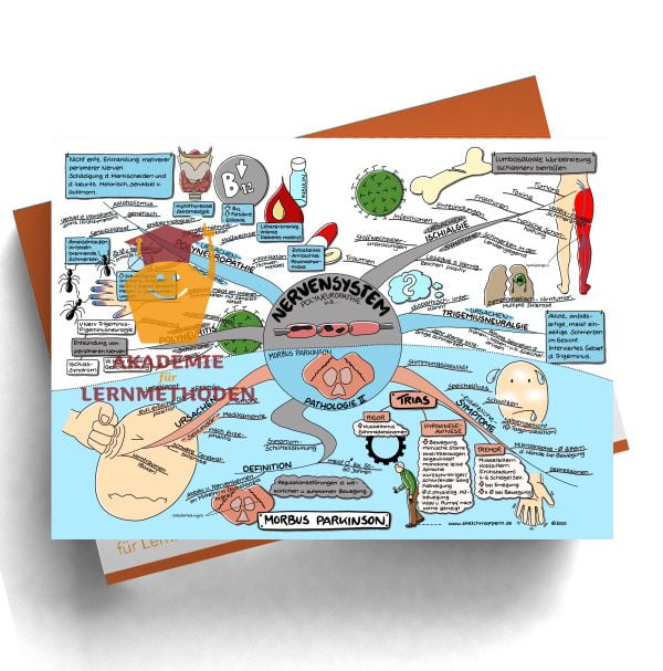 Mindmap zum Thema Nervensystem für den med. Heilpraktiker - Prüfungswissen