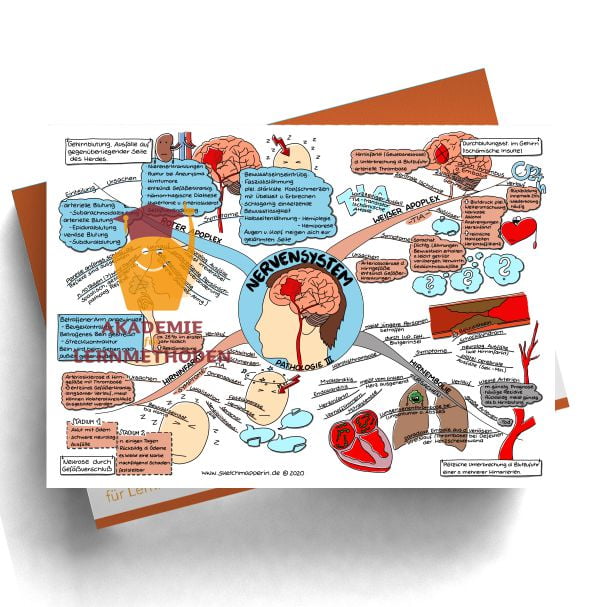 Mindmap zum Thema Nervensystem für den med. Heilpraktiker - Prüfungswissen