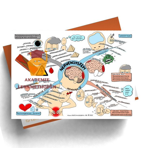 Mindmap zum Thema Nervensystem für den med. Heilpraktiker - Prüfungswissen