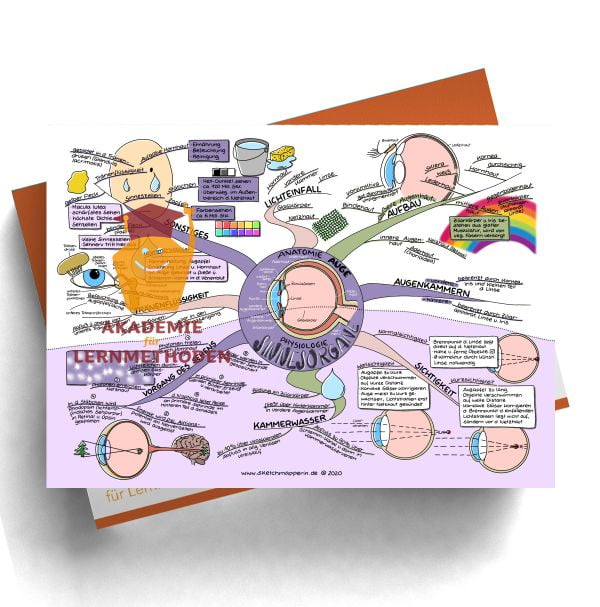 Mindmaps zum Thema Sinnesorgane-Auge für den med. Heilpraktiker