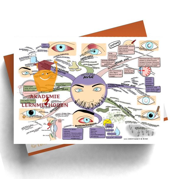 Mindmaps zum Thema Sinnesorgane-Auge für den med. Heilpraktiker