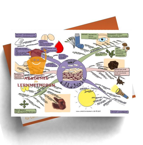 Mindmaps zum Thema Sinnesorgane-Haut für den med. Heilpraktiker