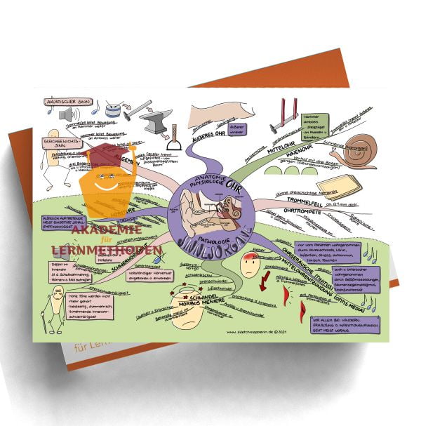 Mindmaps zum Thema Sinnesorgane-Ohr für den med. Heilpraktiker
