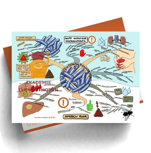 Mindmaps zum Thema Infektionskrankheiten Gatroenteritis, Amöben Ruhr