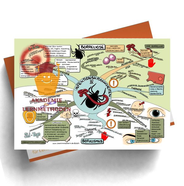 Mindmaps zum Thema Infektionskrankheiten Borreliose, Botulismus
