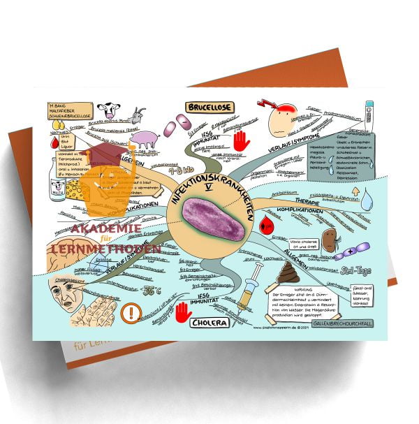 Mindmaps zum Thema Infektionskrankheiten Brucellose, Cholera